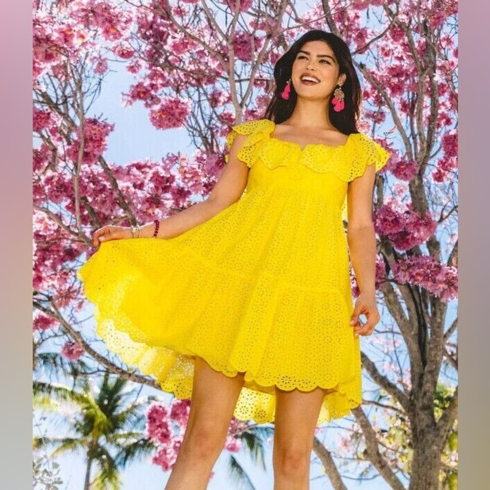 Lilly Pulitzer Asteria Daisy Dreams Eyelet Ruffle Dress Resort Yellow NWT 16